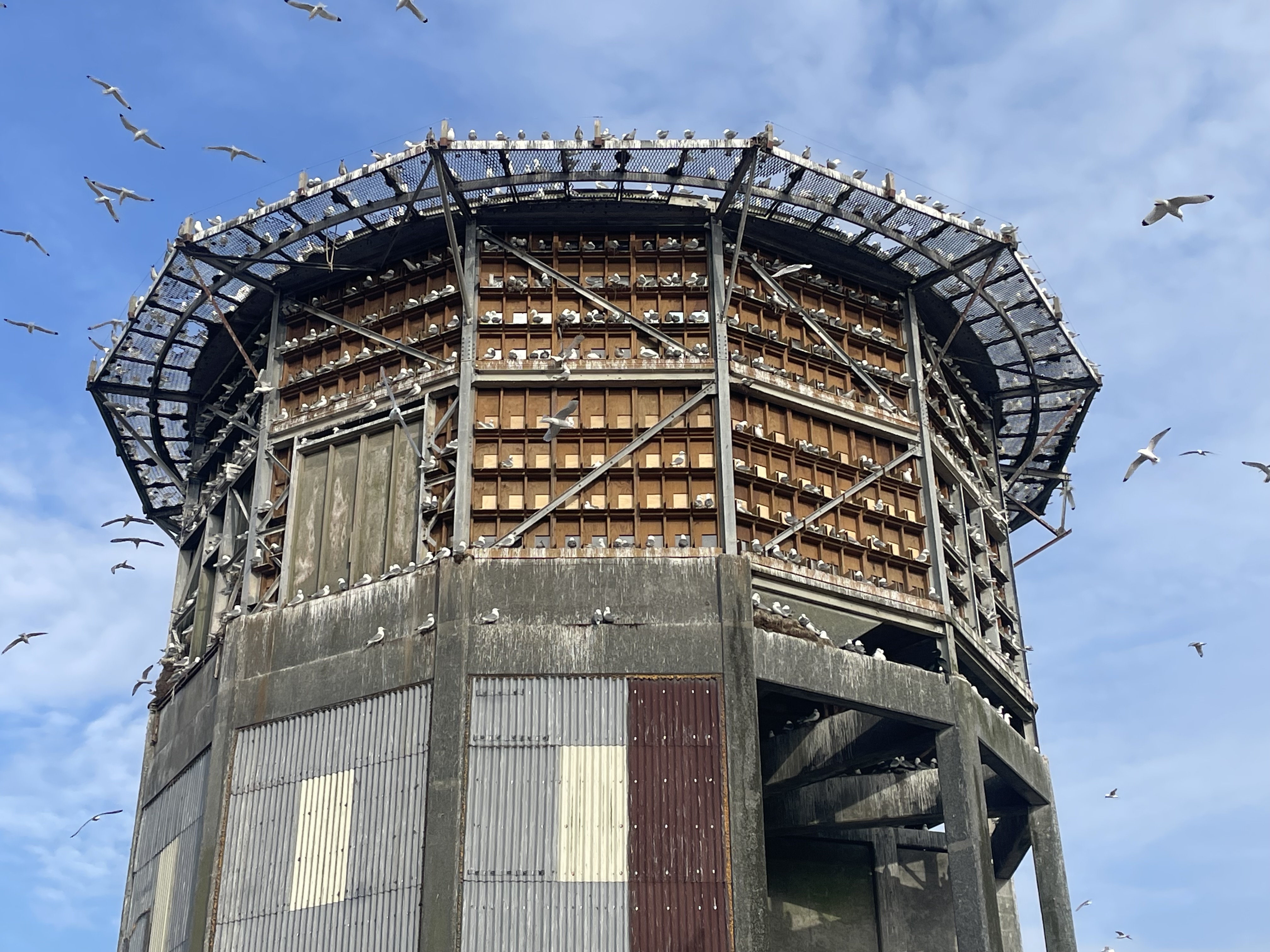 Repaired research tower on Middleton Island