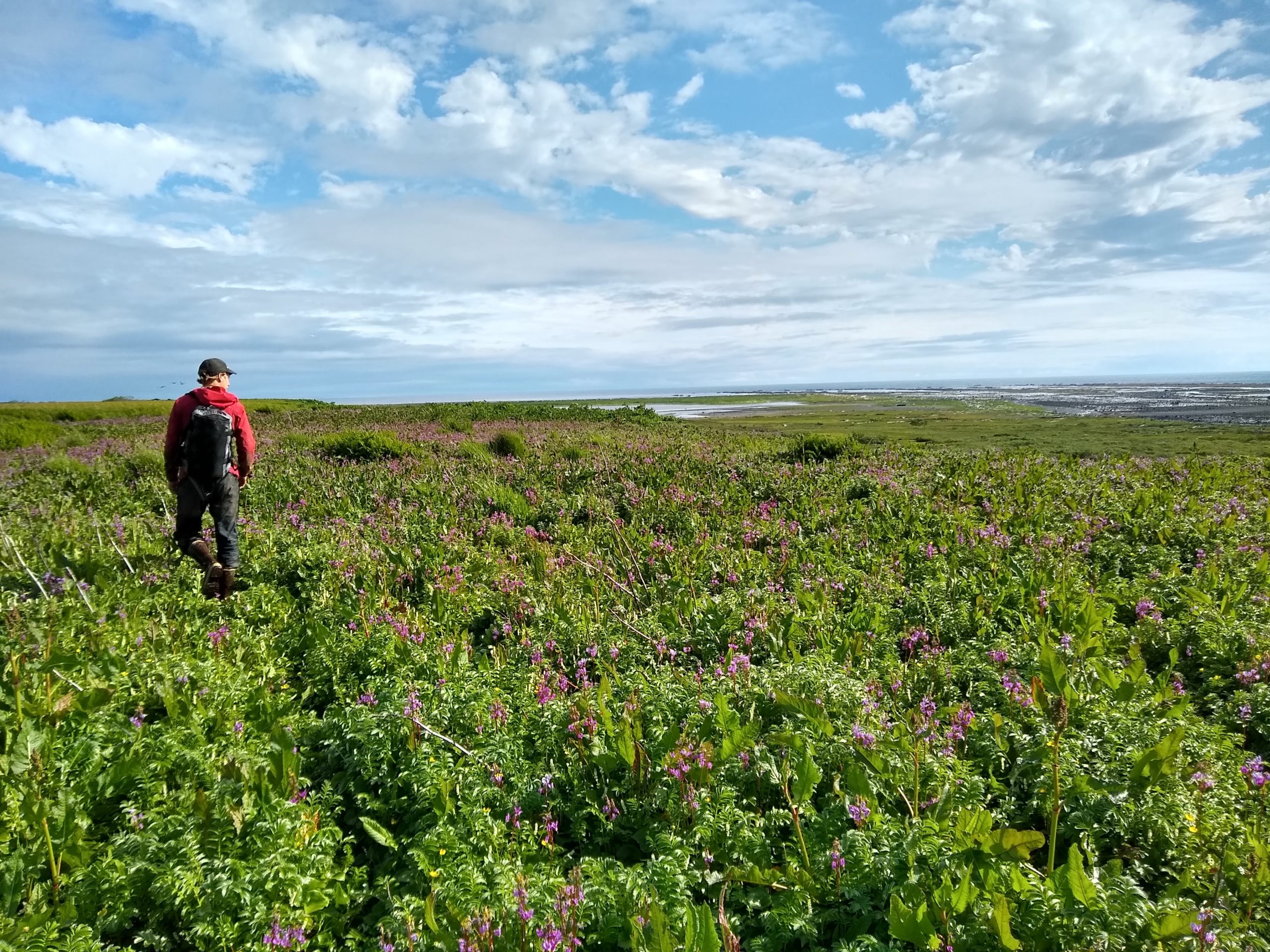 Scientific infrastructure