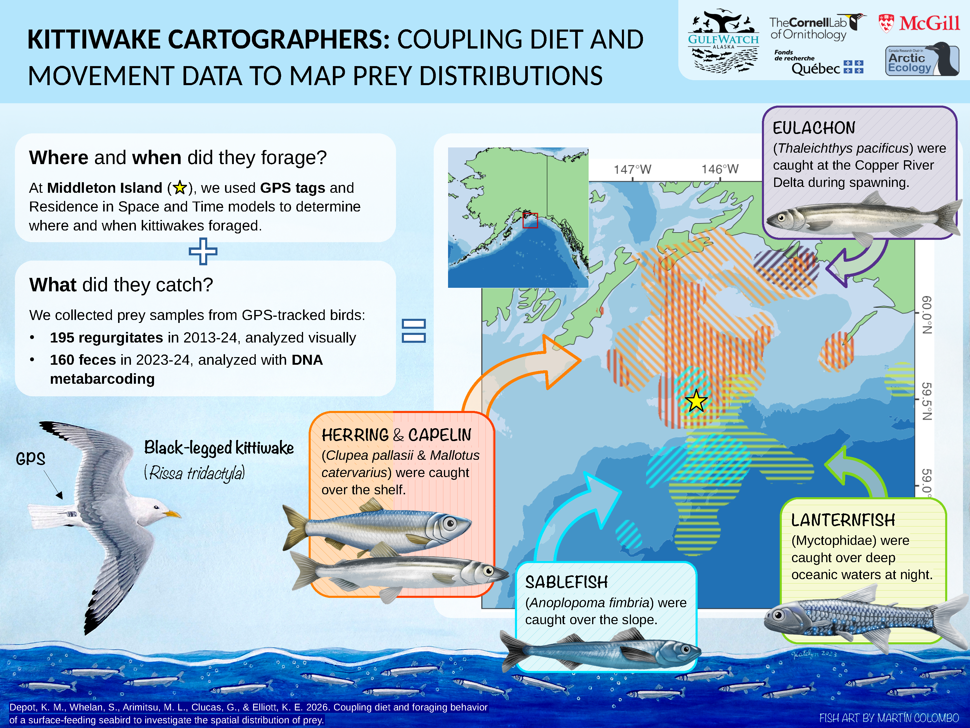 Infographic from Delta Sounds Connection 2026 showing seabirds as ocean detectives tracking forage fish communities