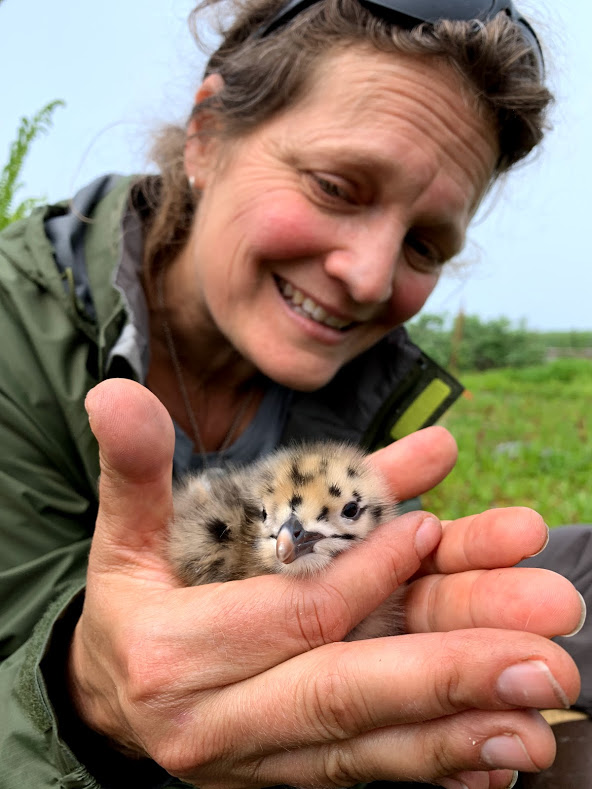 Morgan Benowitz-Fredericks