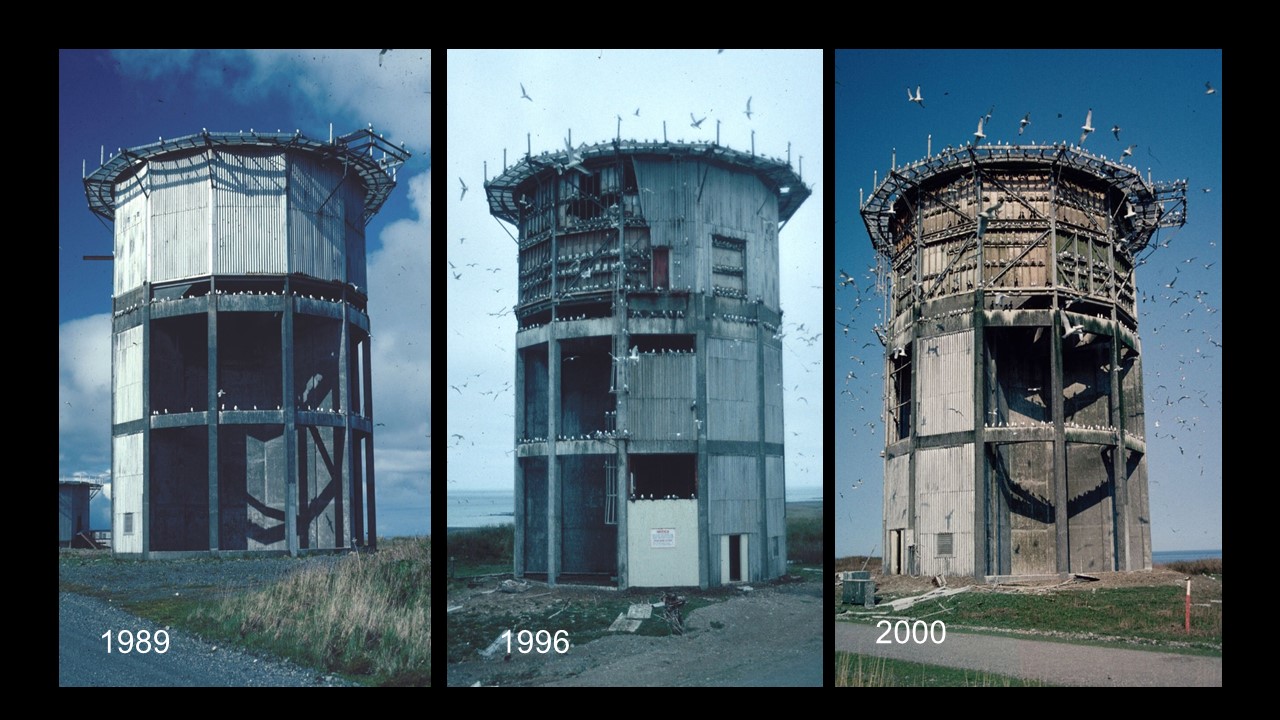 Wildlife documentation