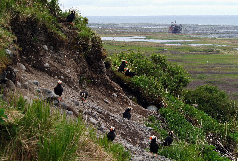 Monitoring equipment